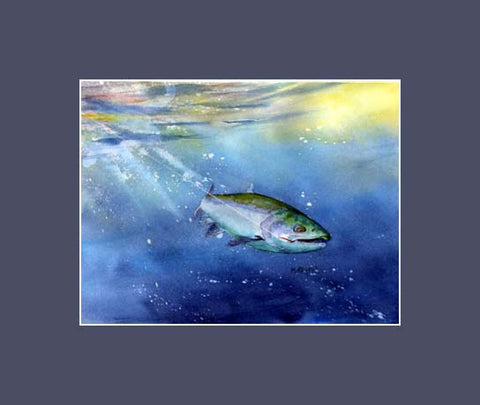 A Silver Salmon also known as the Coho Salmon fighting like crazy to get off the hook.  An original watercolor by Maida Kelley