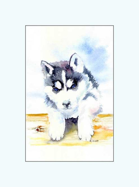 Husky Puppy Print