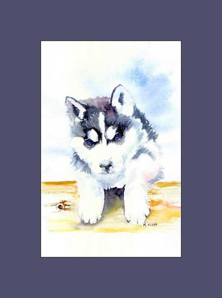 Husky Puppy Print