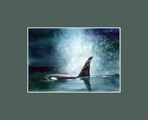 Art print of Orca or Killer whale by Maida Kelley. Matted in Dark Green