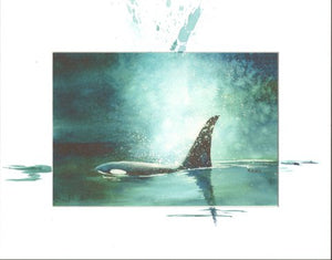 Art print of Orca or Killer whale by Maida Kelley. Remarked on white mat