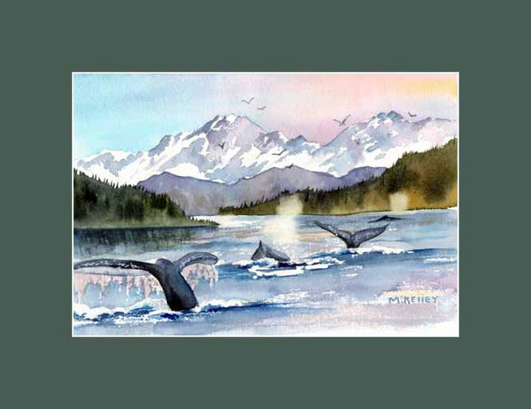A large whale pod feeding during one of my fishing trips in the summer. Maida Kelley print  green mat