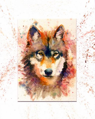 Alaskan Wolf head  art print by Maida Kelley has piercing eyes.  Available with hand painted border