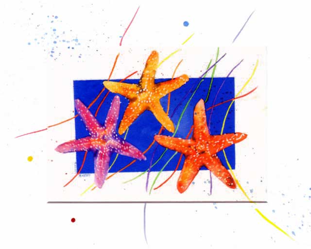 Confetti Star fish matted print by Maida Kelley Ketchikan Alaska