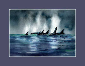 Pod of Orca heading out on hunting expedition.  Print by Maida Kelley striking