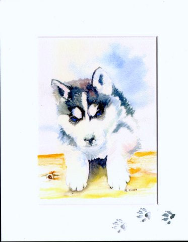 Husky Puppy print by Maida Kelley. From original Watercolor