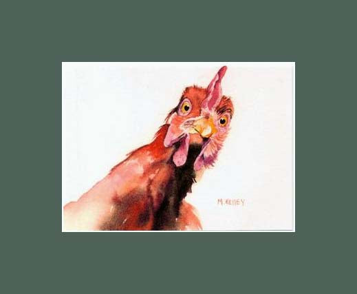 A print by Maida Kelley of a curious Rhode Island Red Chicken in Green mat