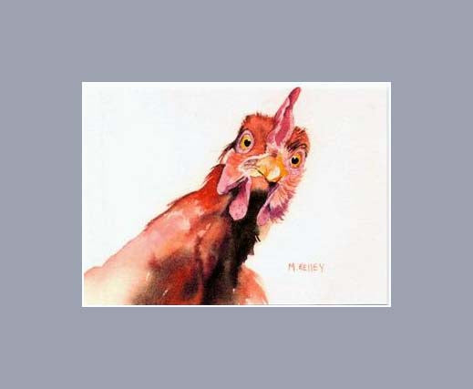 A print by Maida Kelley of a curious Rhode Island Red Chicken in gray mat