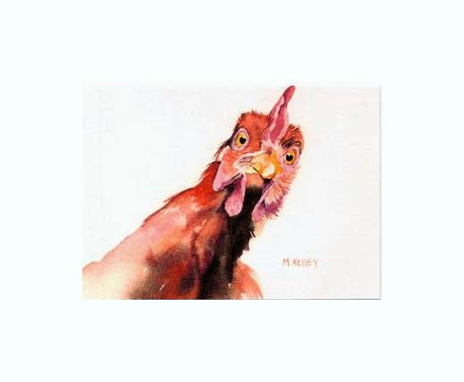 A print by Maida Kelley of a curious Rhode Island Red Chicken in white mat
