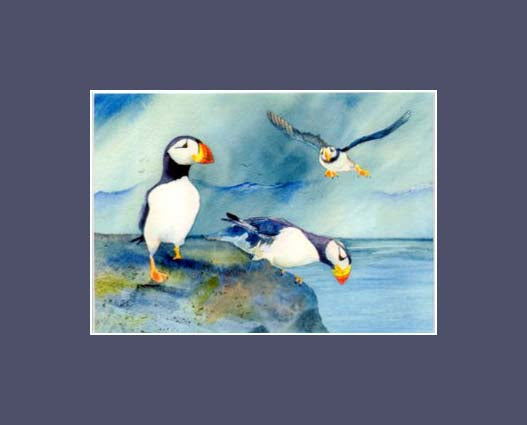 A trio of puffins getting ready to go fishing a print by Maida Kelley in a dark blue mat