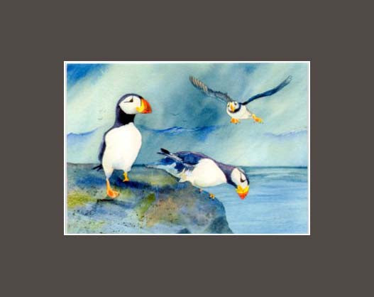 A trio of puffins getting ready to go fishing a print by Maida Kelley in a brown mat