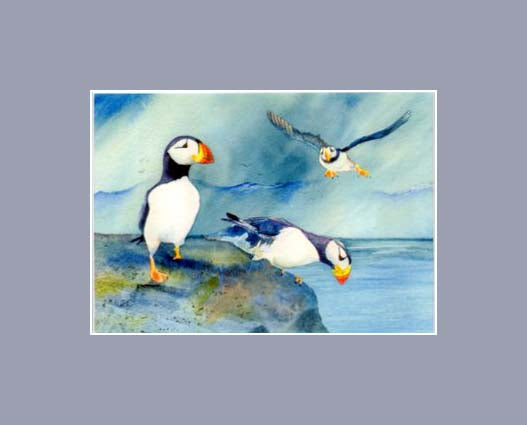A trio of puffins getting ready to go fishing a print by Maida Kelley in a gray mat