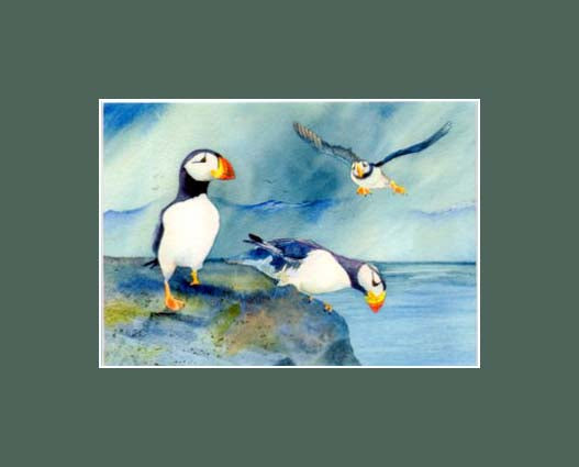 A trio of puffins getting ready to go fishing a print by Maida Kelley in green mat