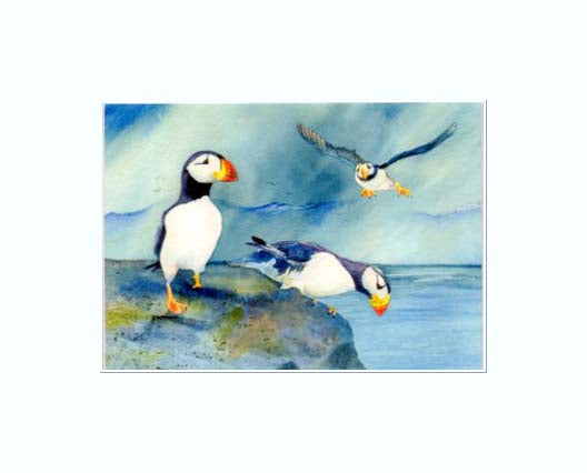 A trio of puffins getting ready to go fishing a print by Maida Kelley in a bright white mat